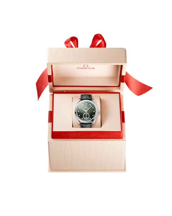 Omega Omega Seamaster Aqua Terra 220.13.38.20.60.001, seamaster швейцария женские часы на браслете кожаный боковой вид