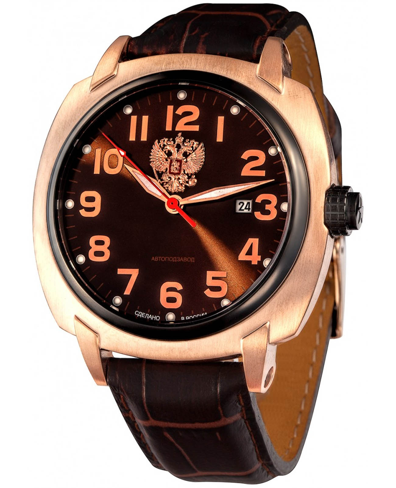 Спецназ Спецназ Профессионал С9063372-8215  С9063372-8215 механические мужские часы коричневый циферблат, браслет кожаный — вид спереди