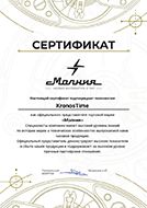 Молния