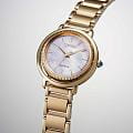 Citizen EM1103-86Y