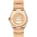 Omega 13155286058001