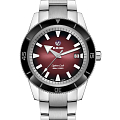Часы Rado Captain Cook Automatic R32105353