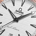Часы Omega Seamaster Aqua Terra 220.22.41.21.02.001 фото 3