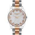 Часы Lee Cooper LC07478.520