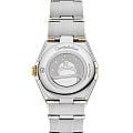 Omega 13125256060001