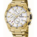 Часы Festina Chrono Sport F20541/1