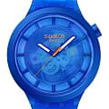 Swatch SB05N116